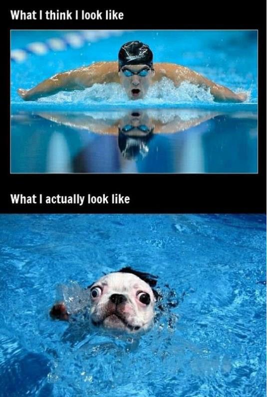 What I think I look like swim fail