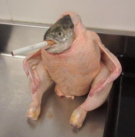 What its a smoking Chicken Fish Havent you seen one before