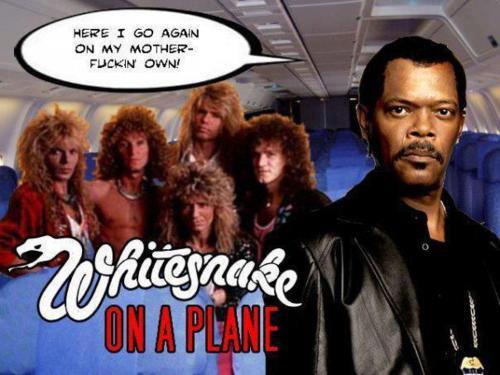 Whitesnake on a plane
