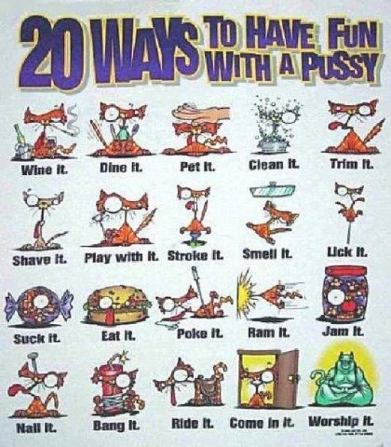 20 Ways To Have Fun With A Pussy