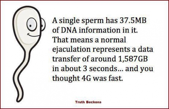 And you thought 4G was fast