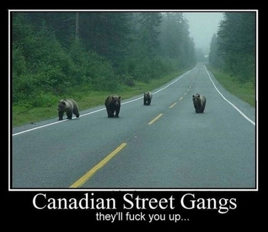 Canadian Street Gangs2