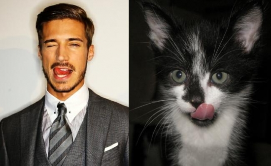 Cats That Look Like Male Models 17