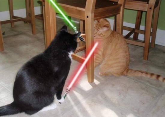 Cats with lightsabers 25