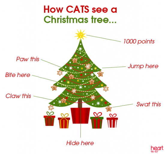 Christmas tree guide for cats