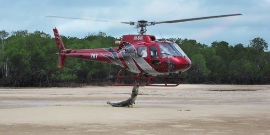 Crocodile vs Helicopter