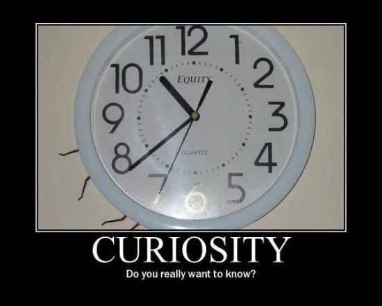 Curiosity Do you really want to know2
