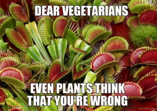 Dear Vegetarians even the plants....