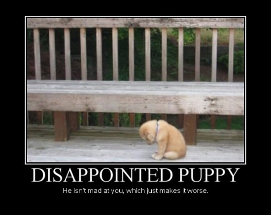 Disappointed Puppy2
