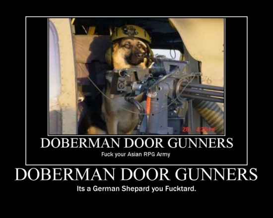 Dobermandoor gunner Counter Its a German Shepard2