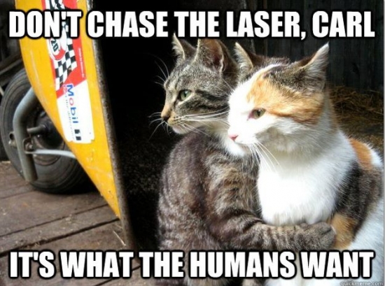 Dont chase the laser
