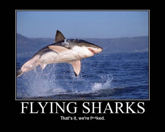 Flying Sharks2