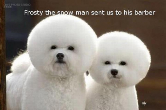 Frosty the Snow Man Sent Us To His Barber