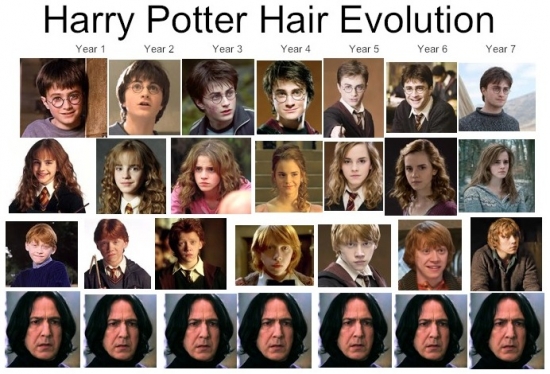 Harry Potter Hair Evolution