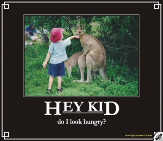 Hay Kid Do I Look Hungry2
