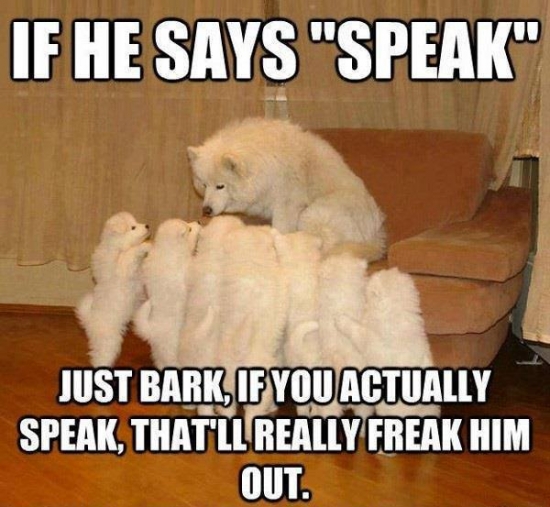 Just bark do not talk human