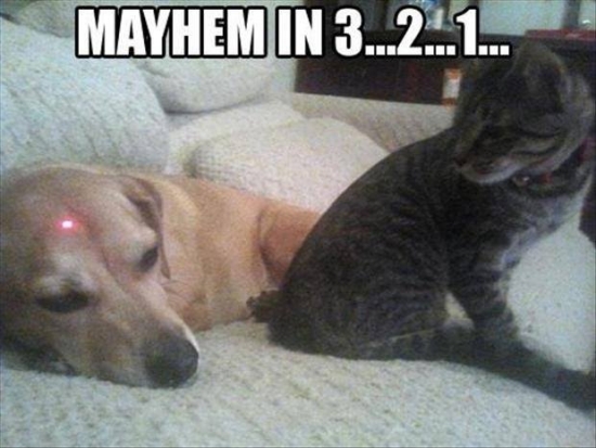 Mayhem in 3...2...1...
