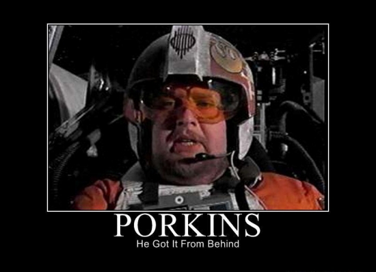 Porkings He got it from behind