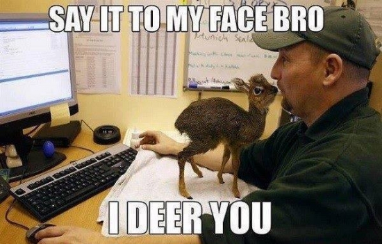 Say it to my face bro I deer you