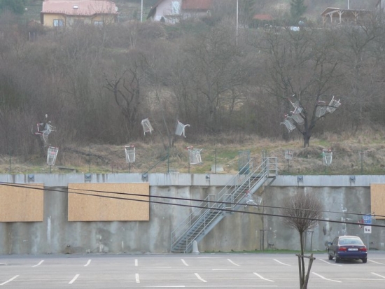 Shopping cart trees its where they grow