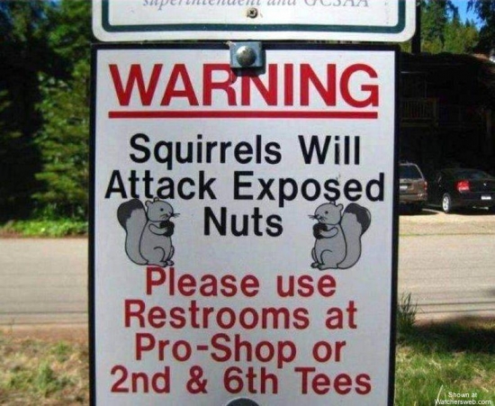 Squirrels Will Attack Exposed Nuts