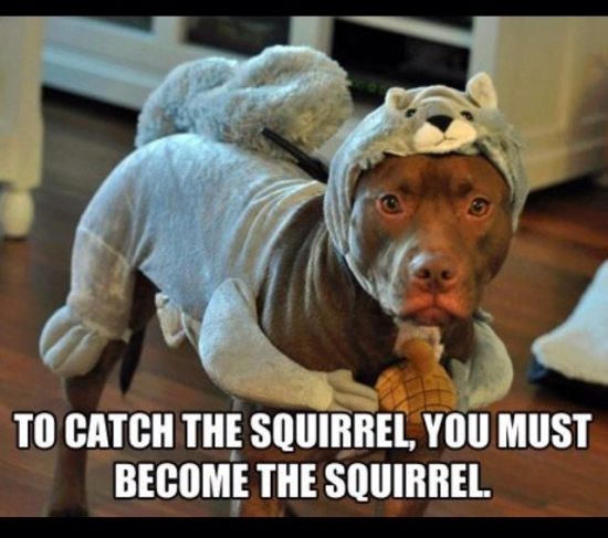 To catch the squirrel you must become the squirrel