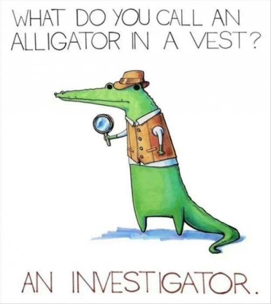 What do you call a Alligator in a vest