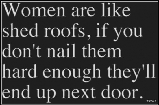 Women are like shed roofs