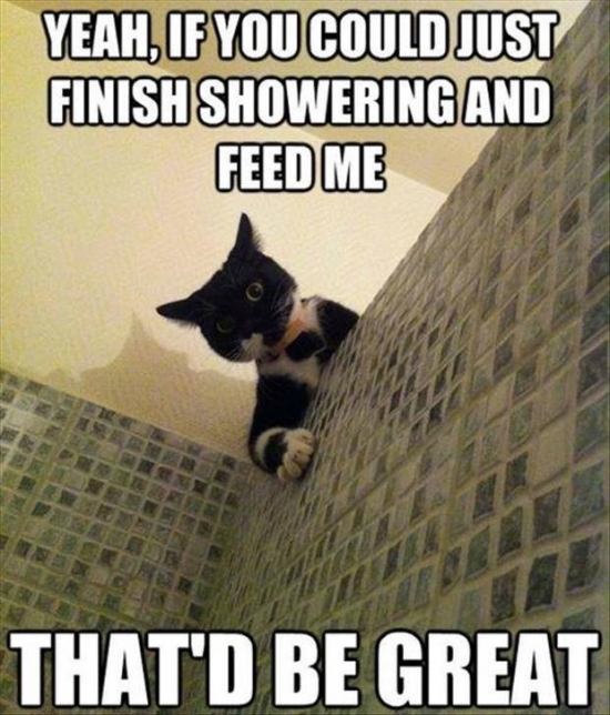 Yeah if you could just finish showering and feed me