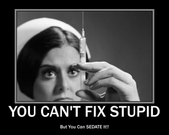 You cant fix stupid2