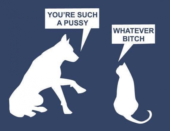 Youur such a pussy