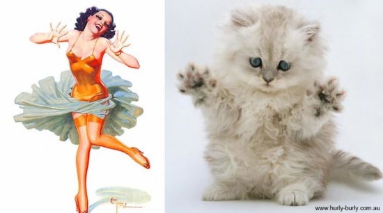 cats that look like pin up girls 10