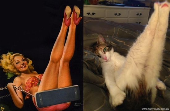 cats that look like pin up girls 5