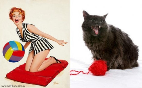 cats that look like pin up girls 9