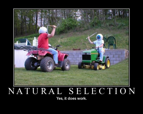 natural selection2