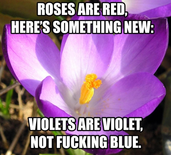 violets are violet