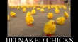 100 Naked Chicks2