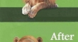 Before and After Lion