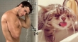 Cats That Look Like Male Models 6
