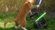 Cats with lightsabers 10