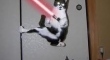 Cats with lightsabers 30