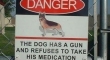 Danger The dog has a gun