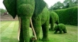 Even the Elephants are doing their bit to stay green