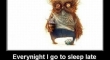 Every Night I Go To Sleep Late