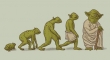 Evolution of Yoda