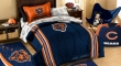 I bought a Chicagi bears bed set