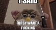 I said Furby wants a hug