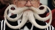 Octopus beards