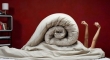 Snail Bed