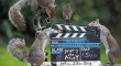 Squirrel Movie Makers
